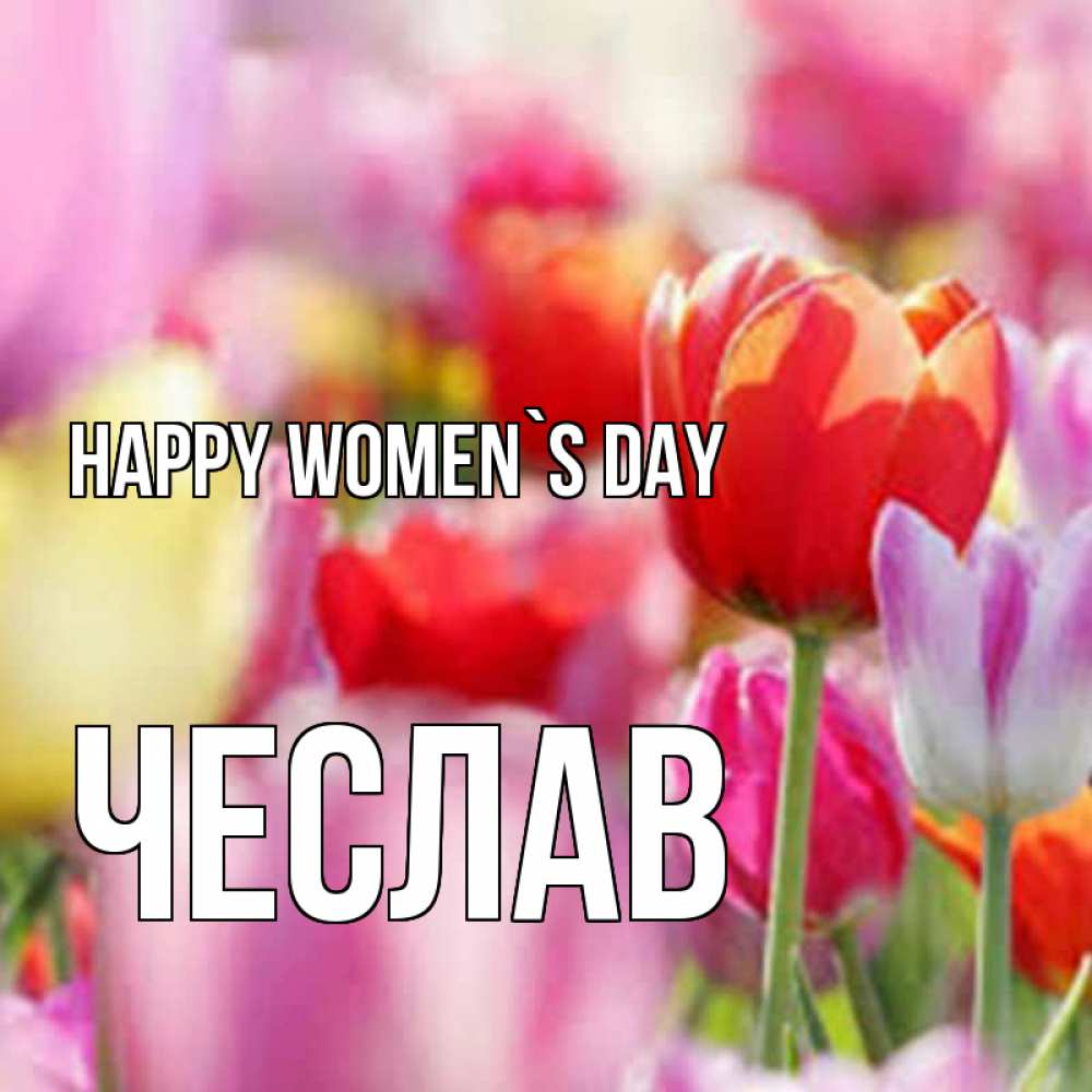 Greetings card с именем, Чеслав happy women`s day на международный женский день 2 Greetings with text for free download 